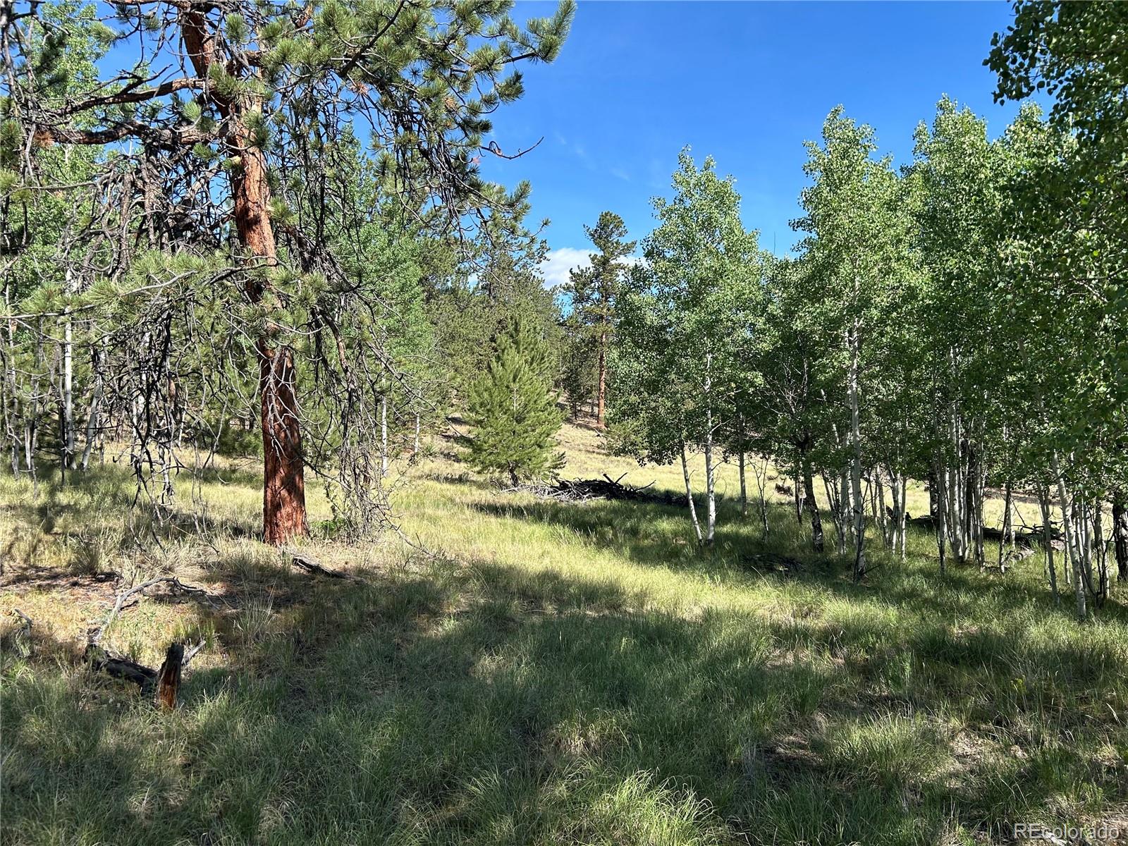 519 Hay Hook Way Hartsel, CO 80449 - Photo 9 of 13 a view of yard with green space