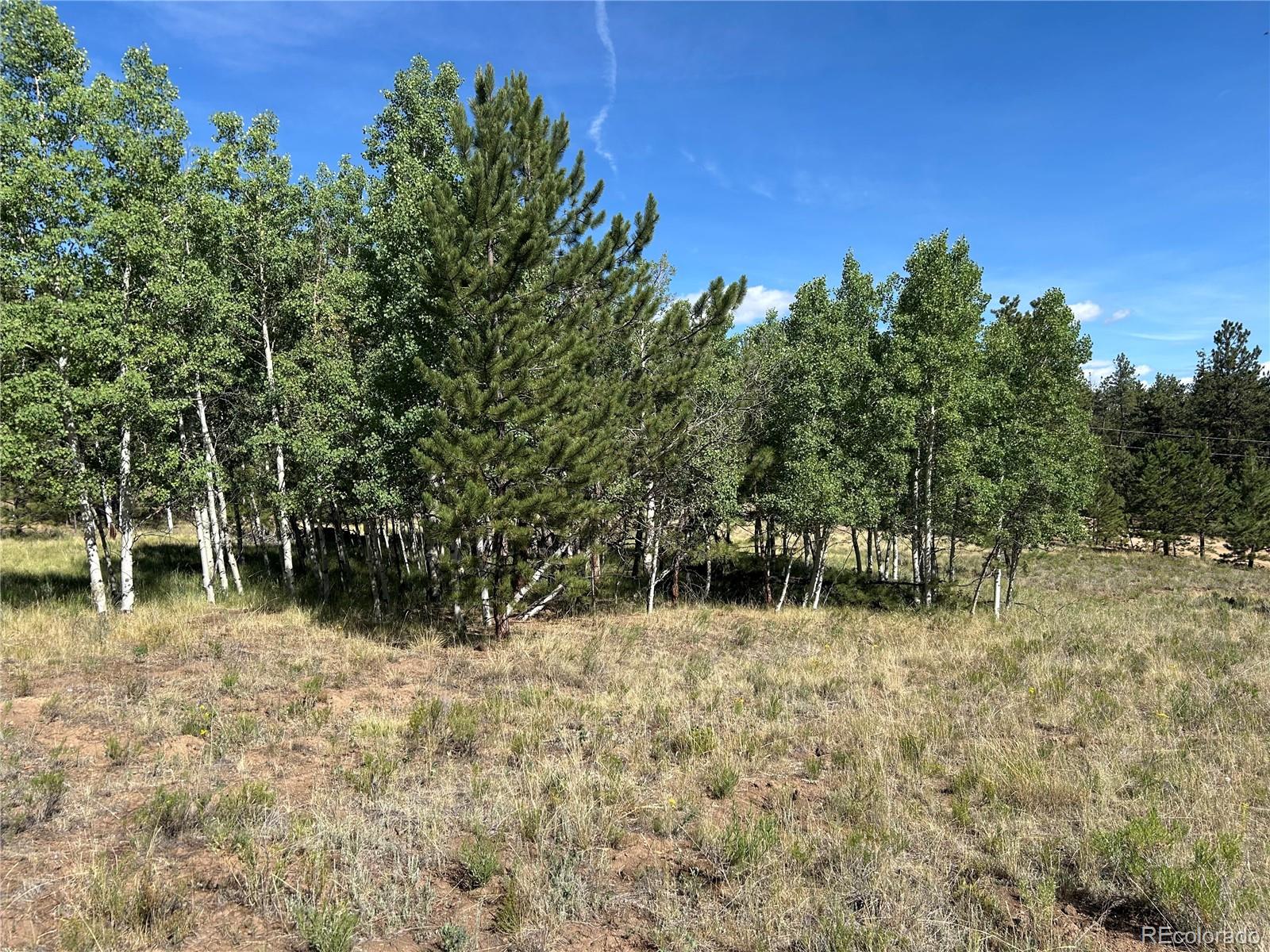 519 Hay Hook Way Hartsel, CO 80449 - Photo 10 of 13 a backyard of a house with lots of green space and chair