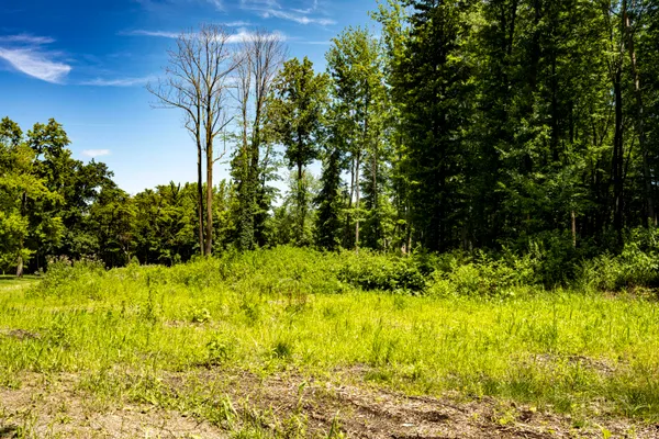 $499,000 | 0 Youngren Road, Three Oaks, MI 49128