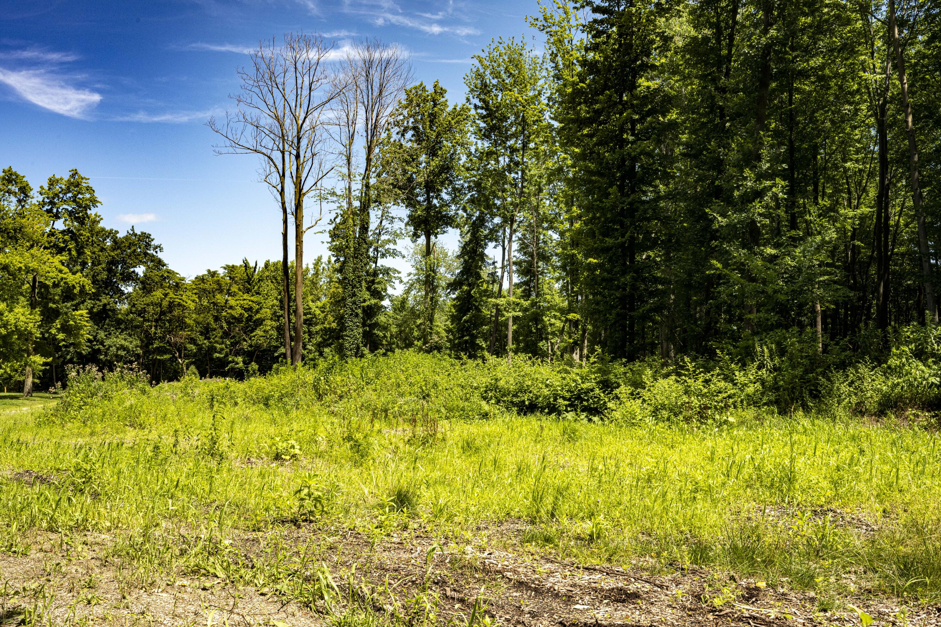 0 Youngren Road Three Oaks, MI 49128 - Photo 11 of 35 REN_9382