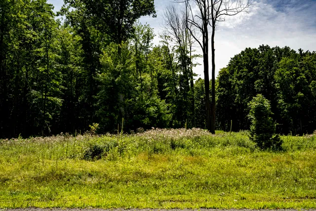 $499,000 | 0 Youngren Road, Three Oaks, MI 49128