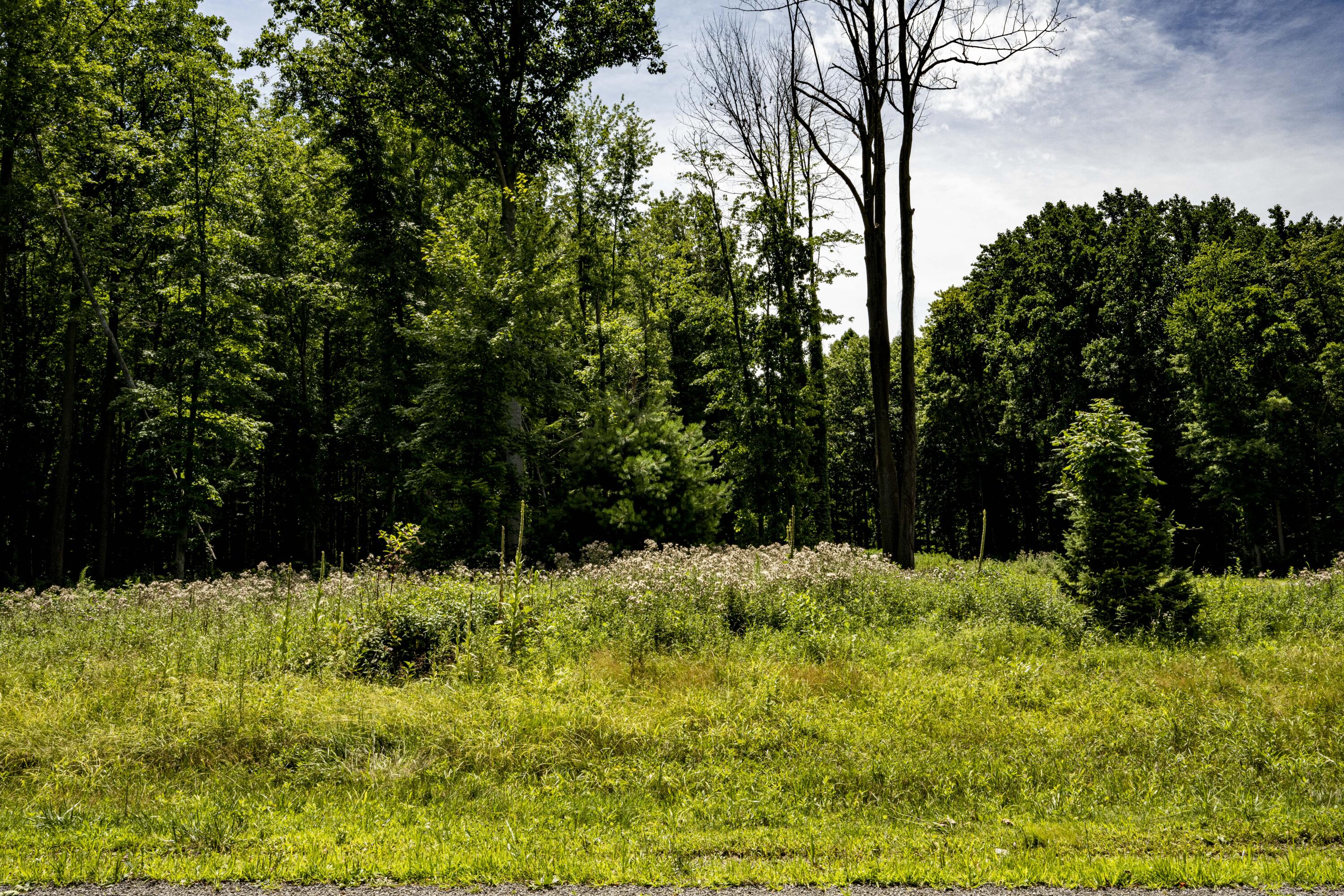 0 Youngren Road Three Oaks, MI 49128 - Photo 12 of 35 REN_9391