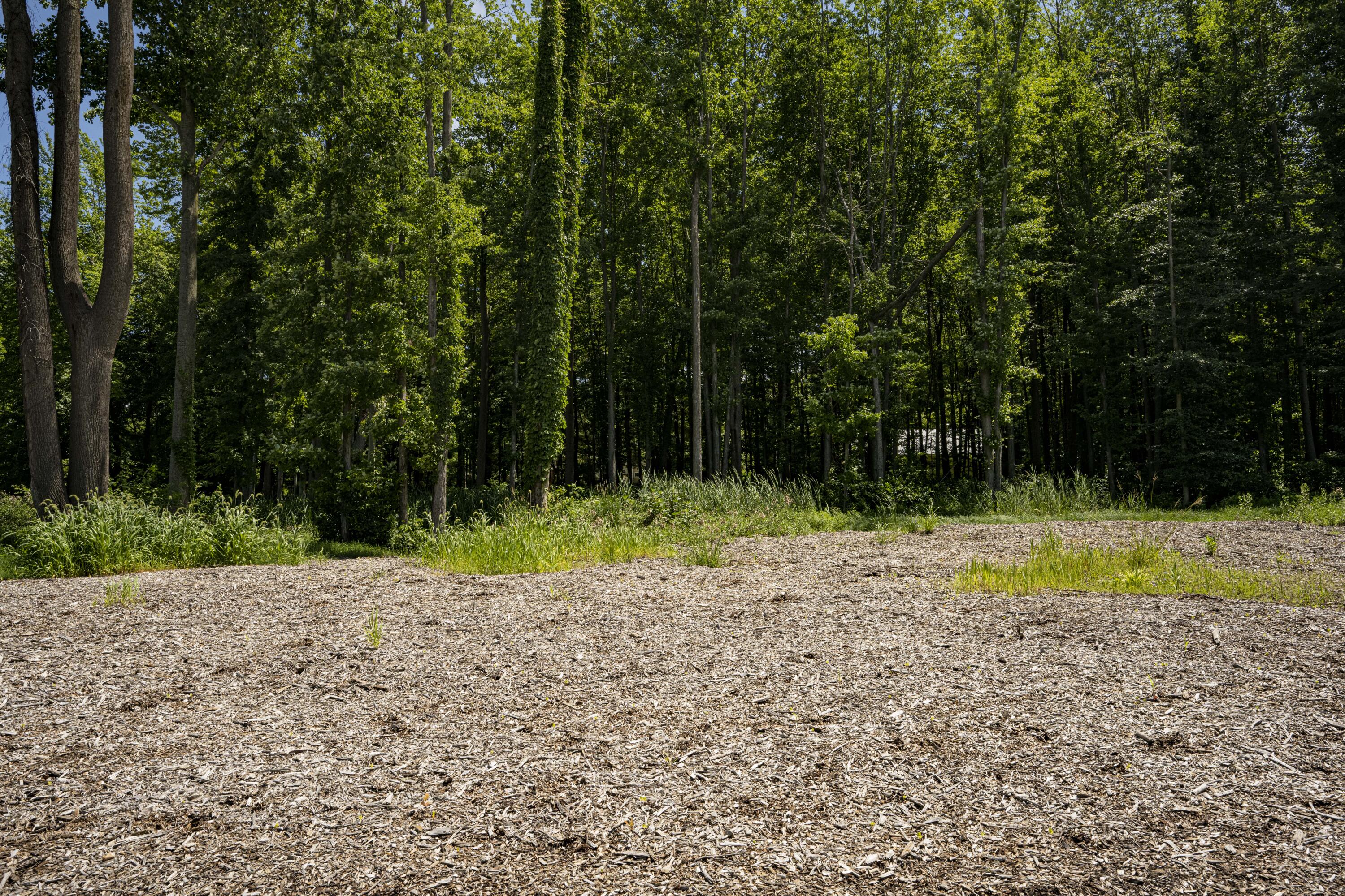 0 Youngren Road Three Oaks, MI 49128 - Photo 13 of 35 REN_9341