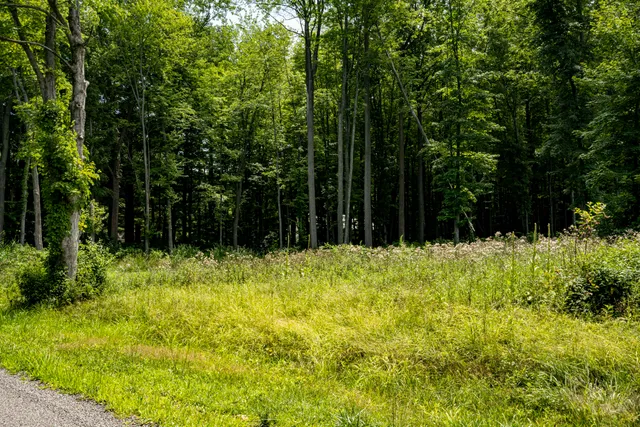 $499,000 | 0 Youngren Road, Three Oaks, MI 49128