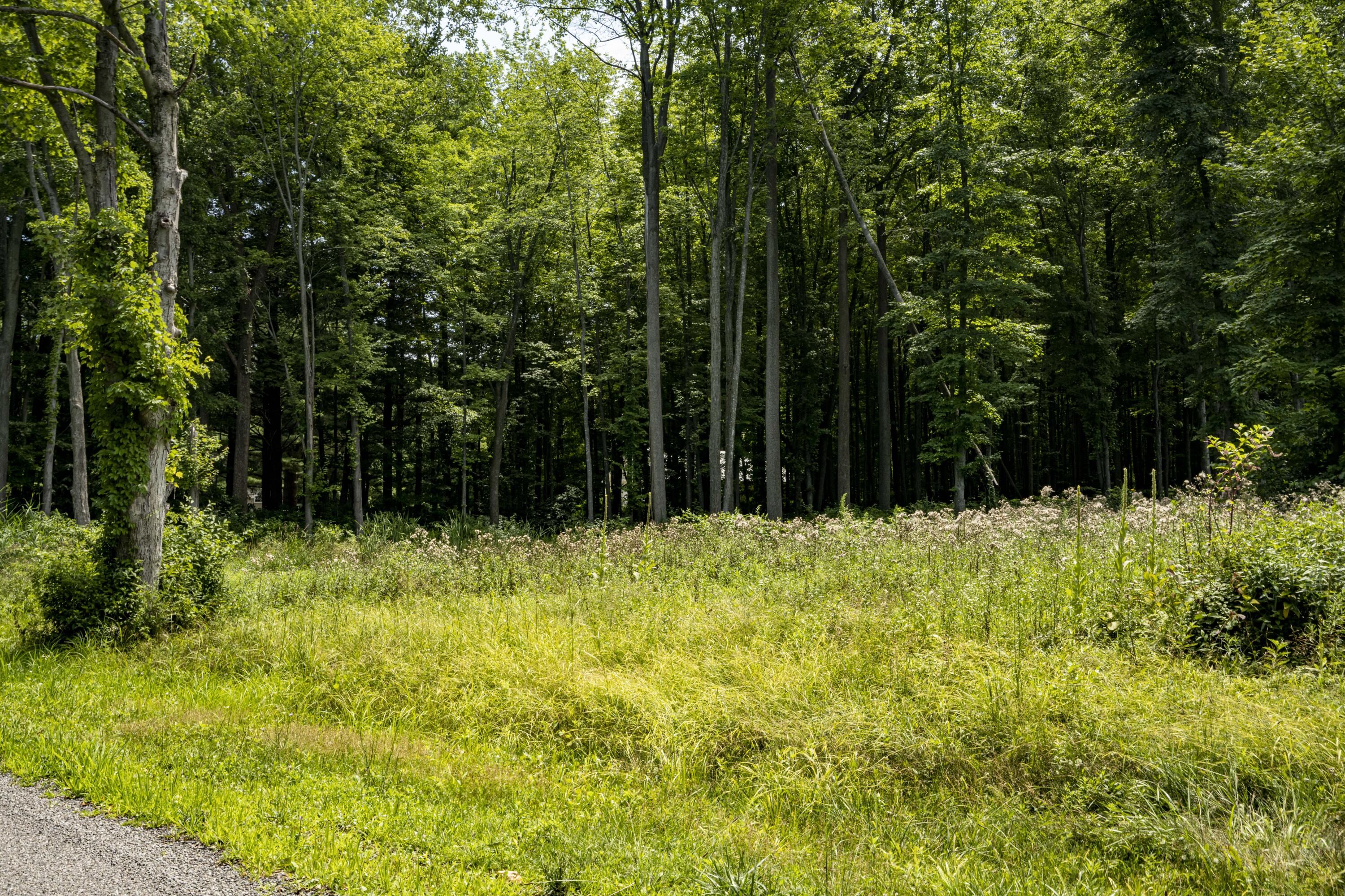 0 Youngren Road Three Oaks, MI 49128 - Photo 14 of 35 REN_9398