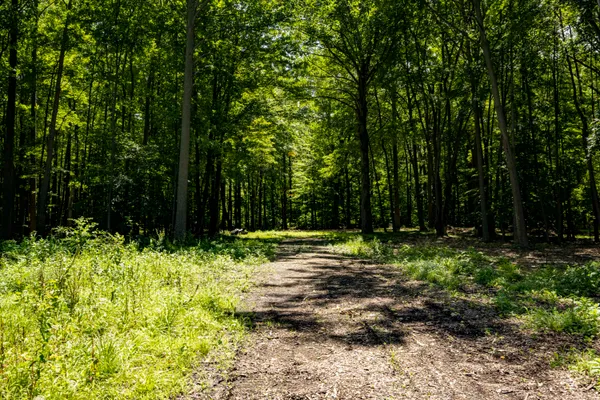 $499,000 | 0 Youngren Road, Three Oaks, MI 49128
