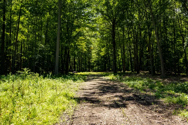 $499,000 | 0 Youngren Road, Three Oaks, MI 49128