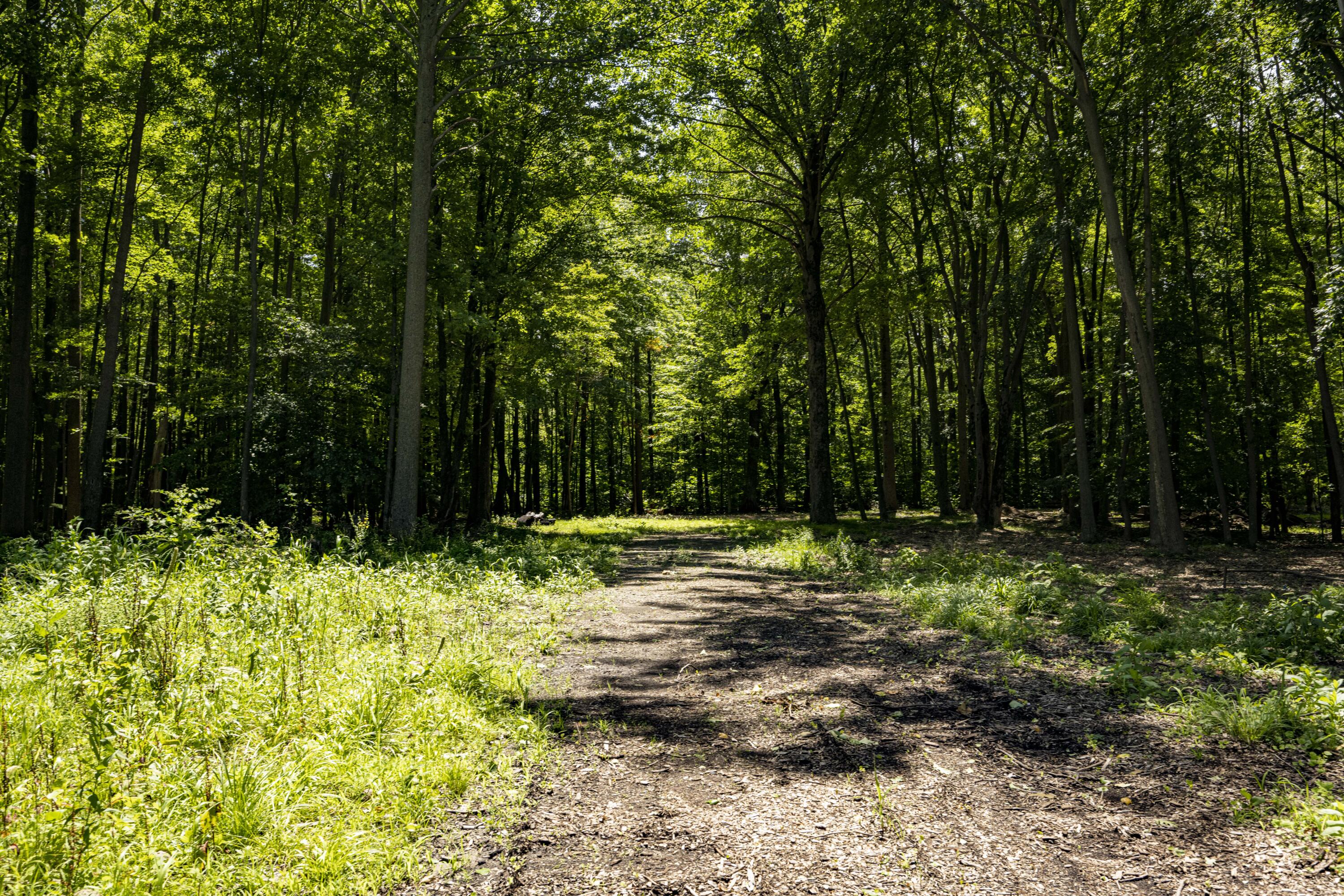 0 Youngren Road Three Oaks, MI 49128 - Photo 16 of 35 REN_9355