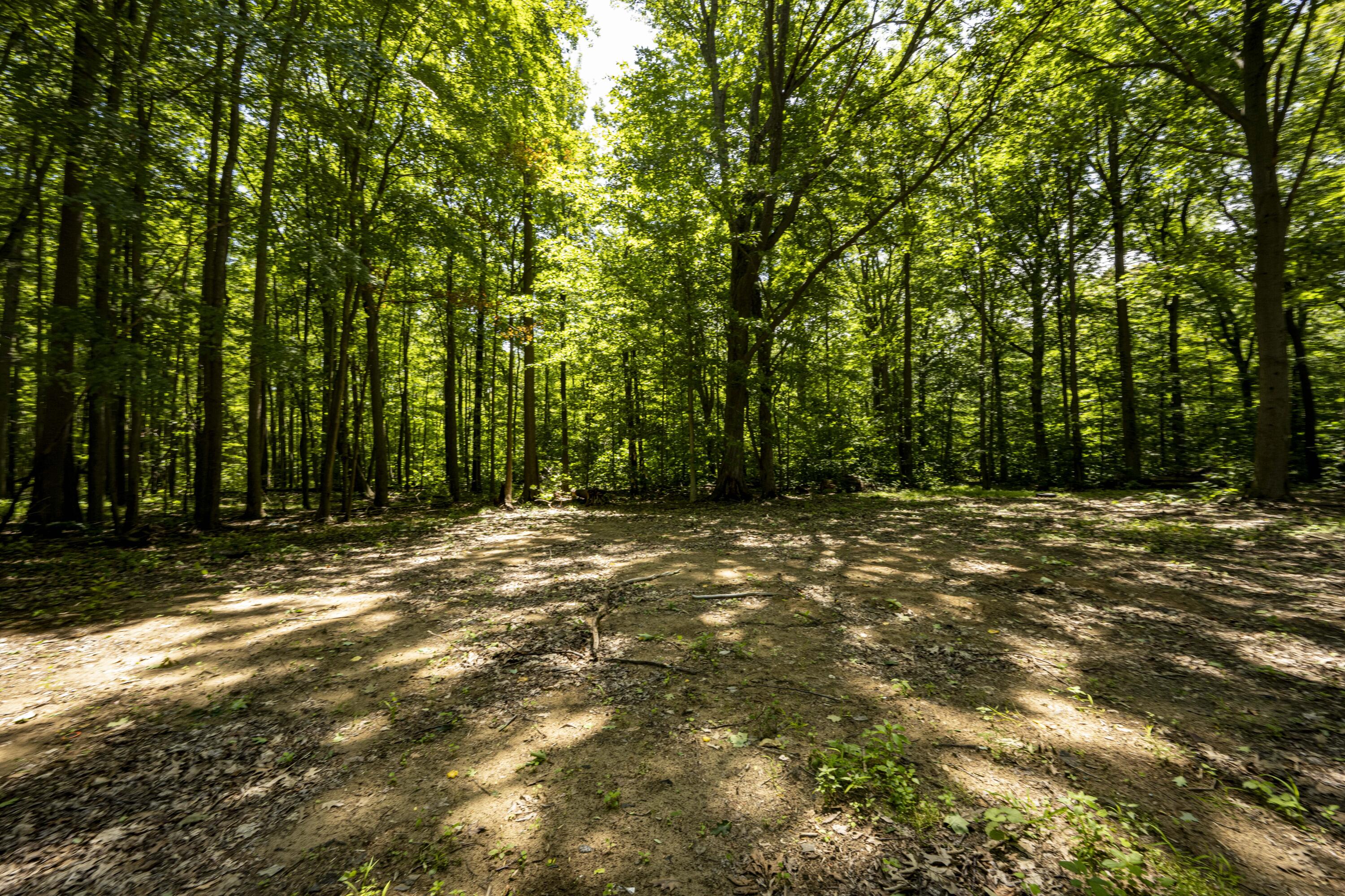 0 Youngren Road Three Oaks, MI 49128 - Photo 17 of 35 REN_9371