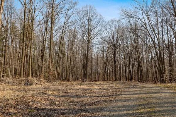 $499,000 | 0 Youngren Road, Three Oaks, MI 49128