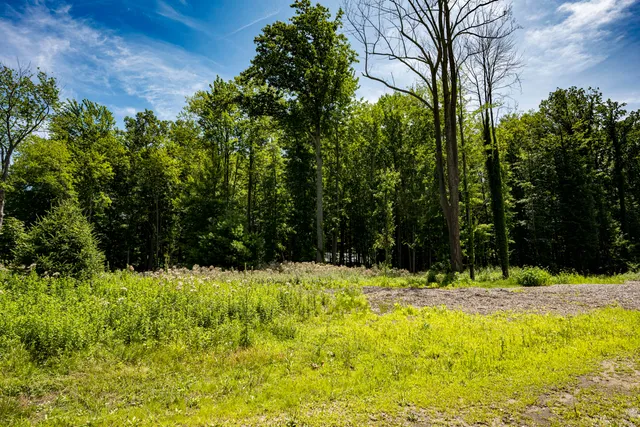 $499,000 | 0 Youngren Road, Three Oaks, MI 49128