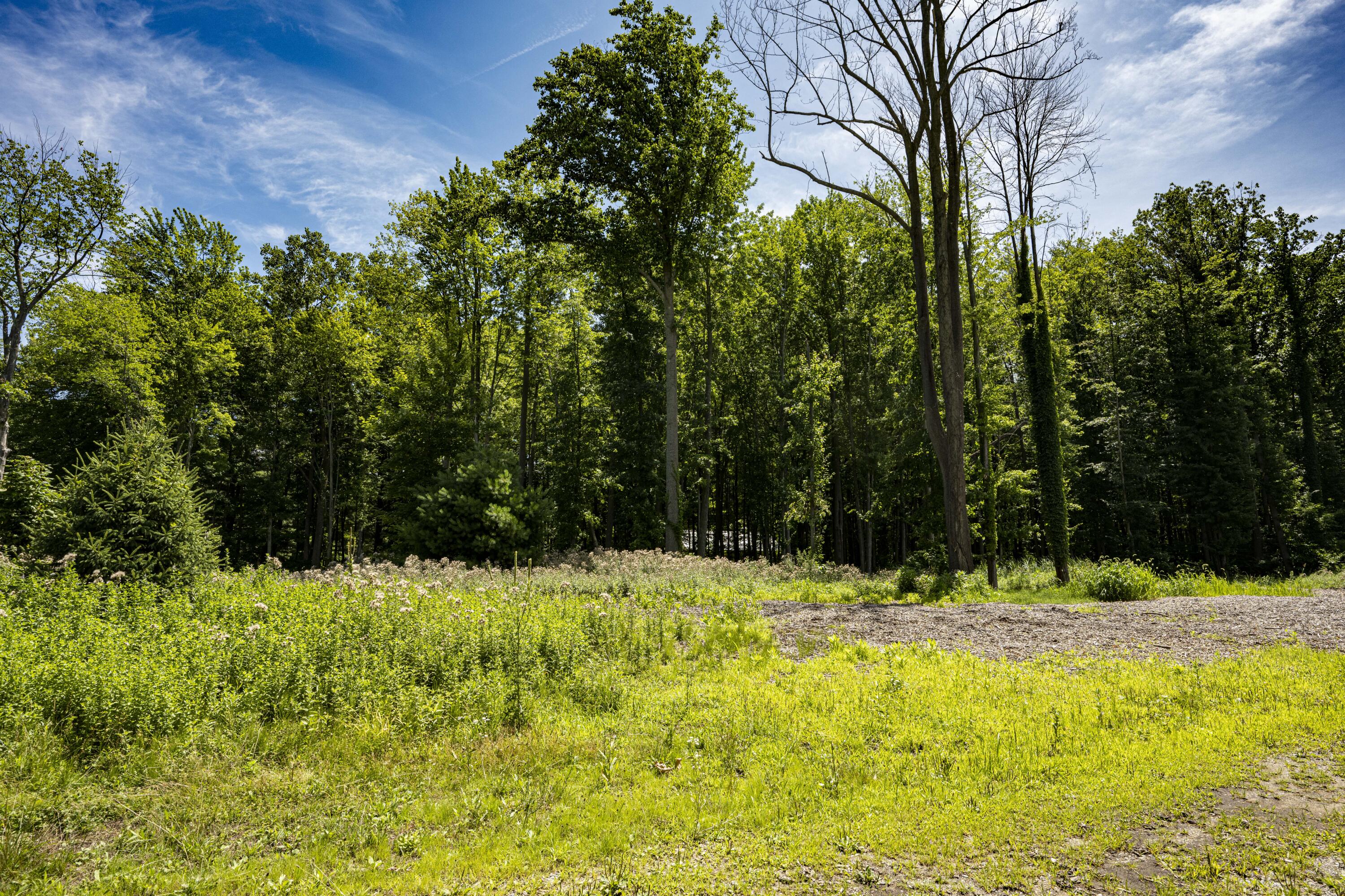 0 Youngren Road Three Oaks, MI 49128 - Photo 2 of 35 REN_9331