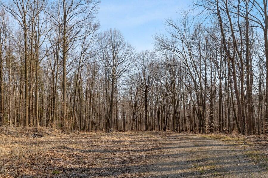 0 Youngren Road Three Oaks, MI 49128 - Photo 21 of 35 04_0YoungrenRd_2005_LowRes