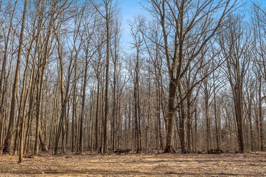 0 Youngren Road Three Oaks, MI 49128 - Photo 23 of 35 06_0YoungrenRd_2007_LowRes