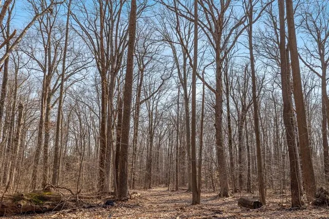 $499,000 | 0 Youngren Road, Three Oaks, MI 49128