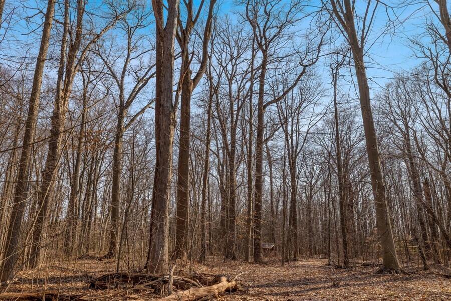 0 Youngren Road Three Oaks, MI 49128 - Photo 25 of 35 08_0YoungrenRd_2009_LowRes