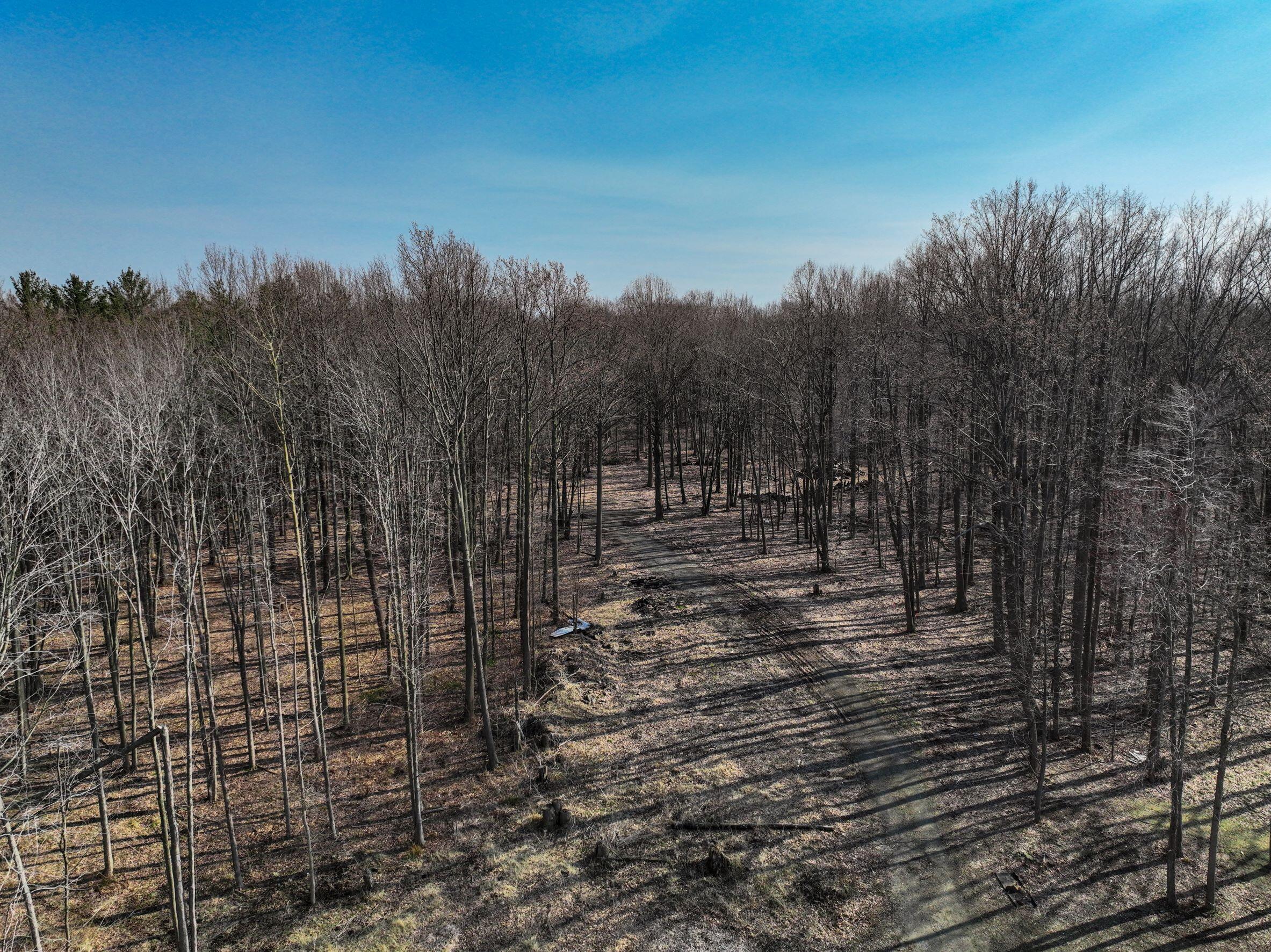 0 Youngren Road Three Oaks, MI 49128 - Photo 27 of 35 DJI_0346 1