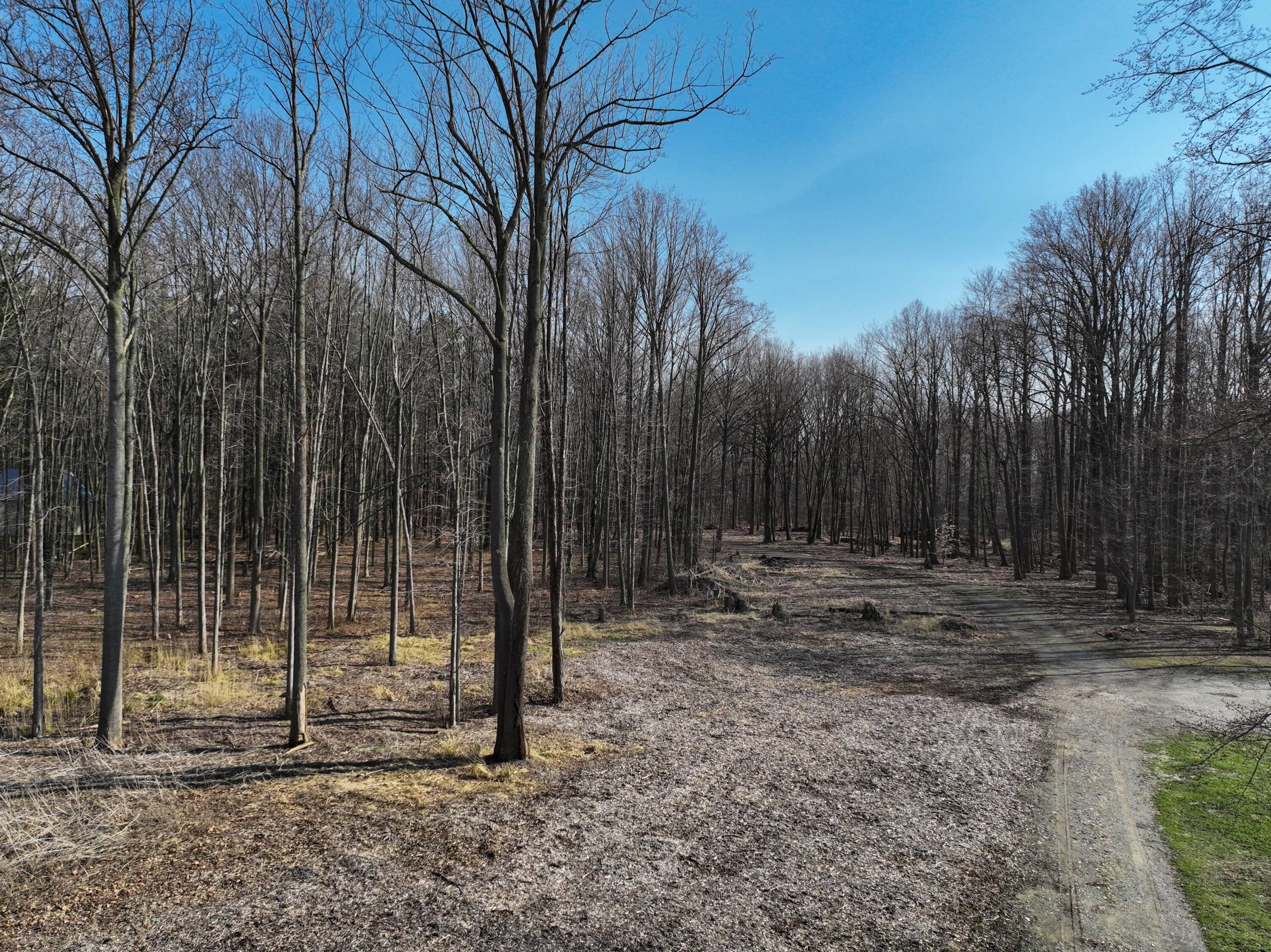 0 Youngren Road Three Oaks, MI 49128 - Photo 28 of 35 DJI_0344 1