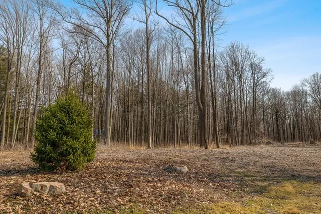 $499,000 | 0 Youngren Road, Three Oaks, MI 49128