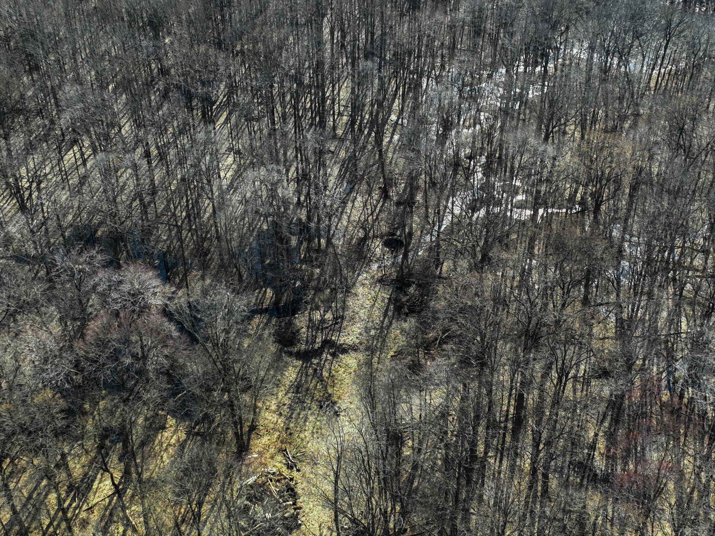 0 Youngren Road Three Oaks, MI 49128 - Photo 30 of 35 DJI_0355 1