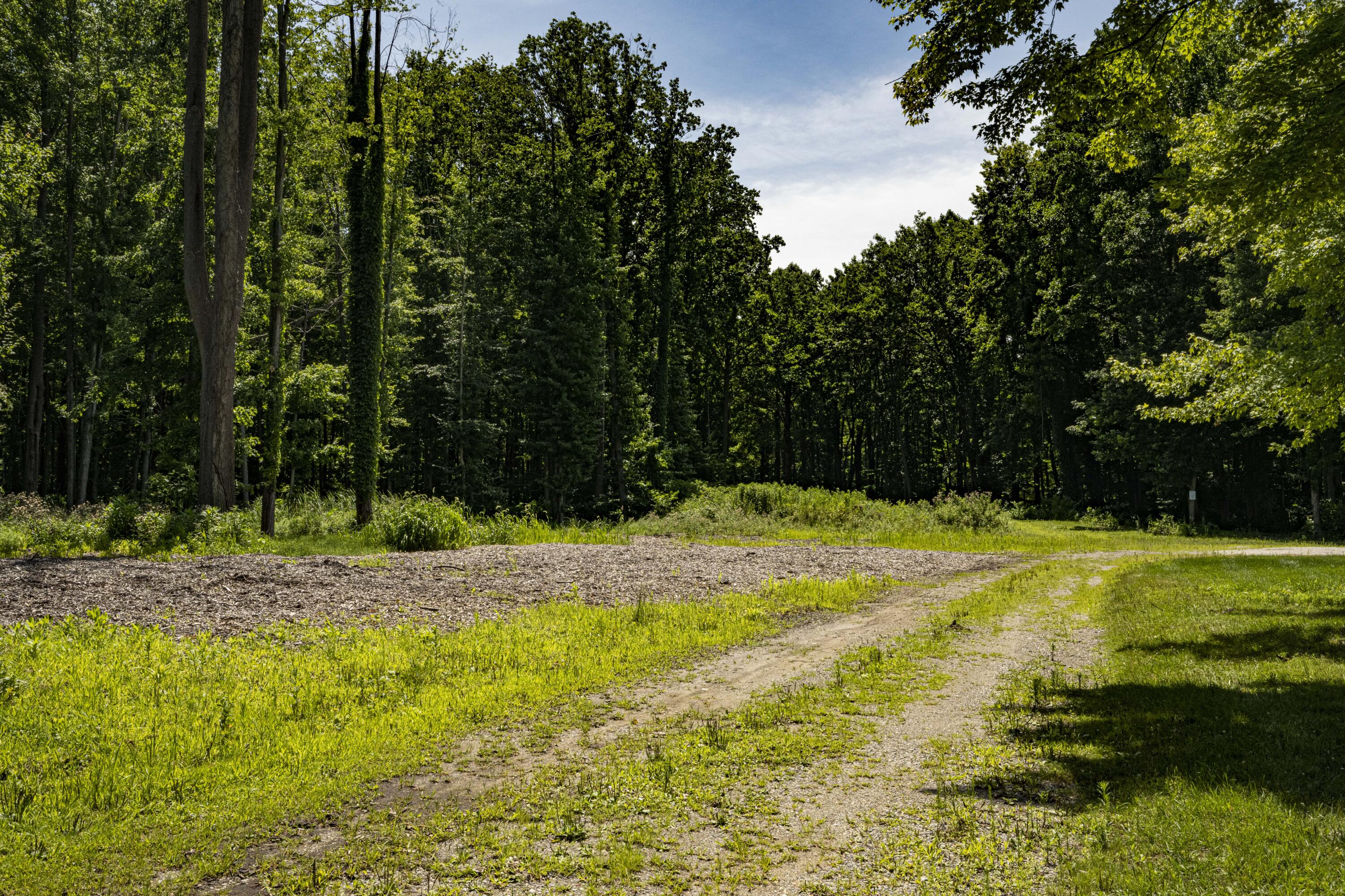 0 Youngren Road Three Oaks, MI 49128 - Photo 3 of 35 REN_9336