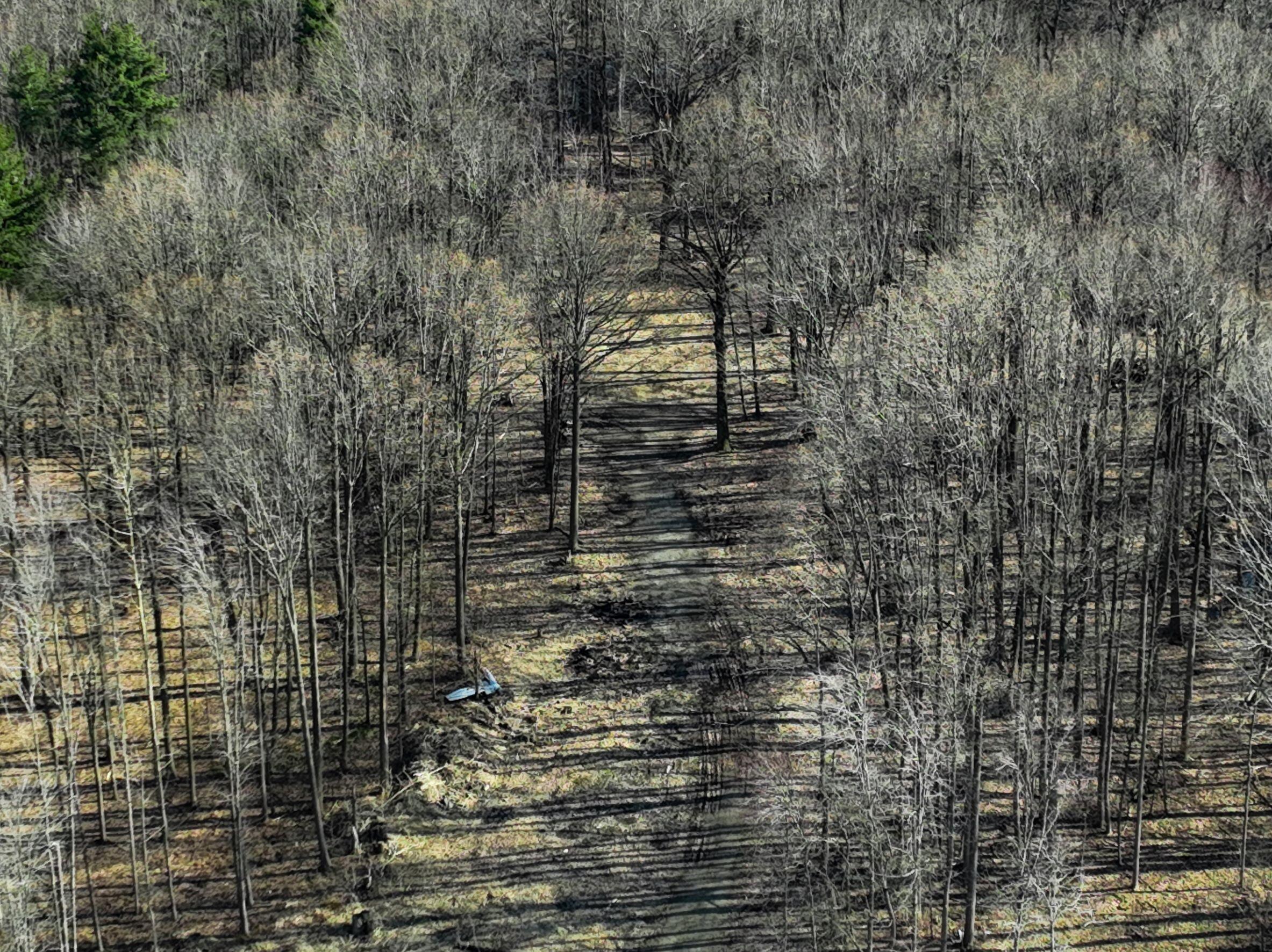 0 Youngren Road Three Oaks, MI 49128 - Photo 33 of 35 DJI_0369 1