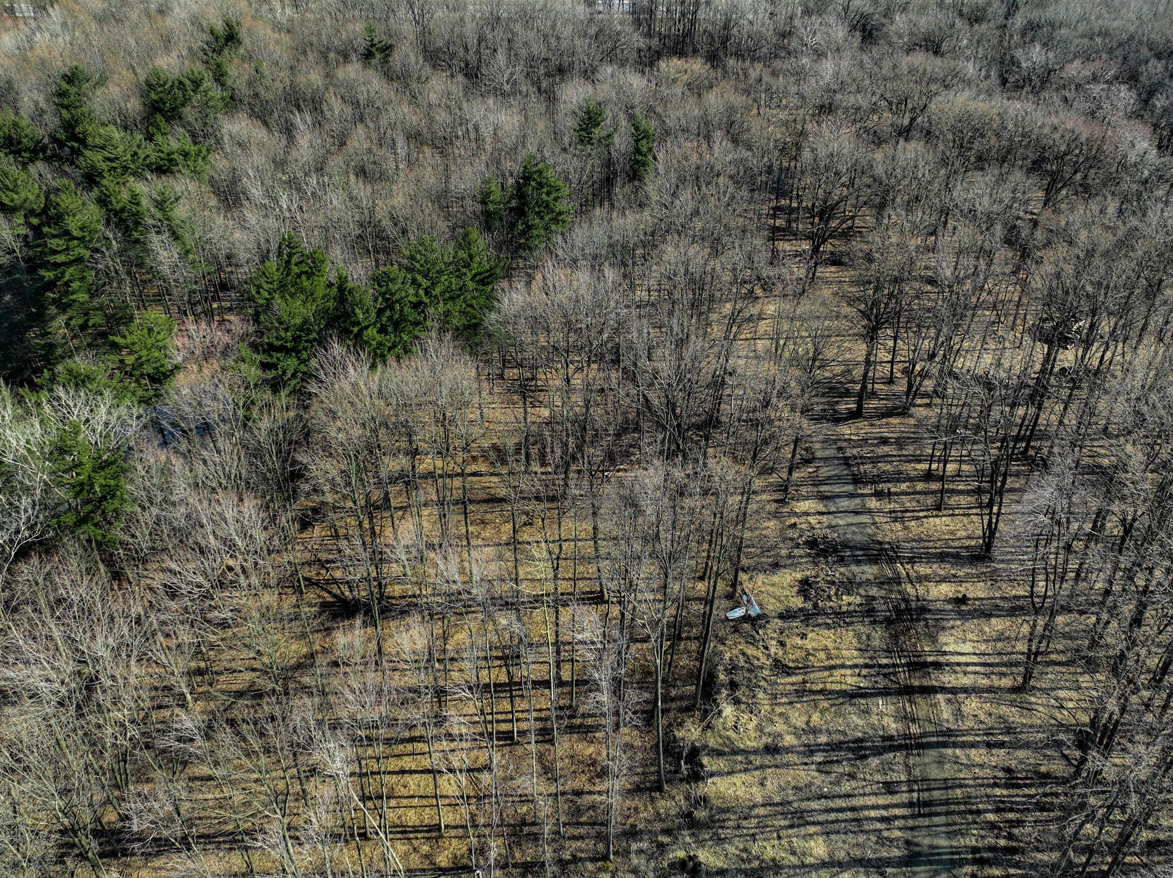 0 Youngren Road Three Oaks, MI 49128 - Photo 34 of 35 DJI_0347 1