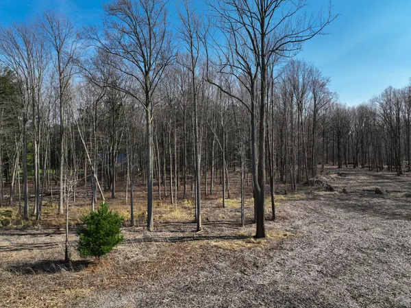 $499,000 | 0 Youngren Road, Three Oaks, MI 49128