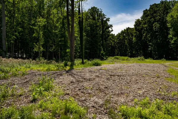 $499,000 | 0 Youngren Road, Three Oaks, MI 49128