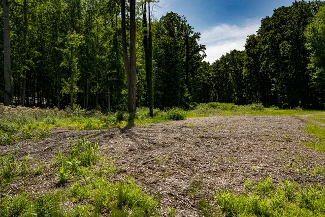 $499,000 | 0 Youngren Road, Three Oaks, MI 49128