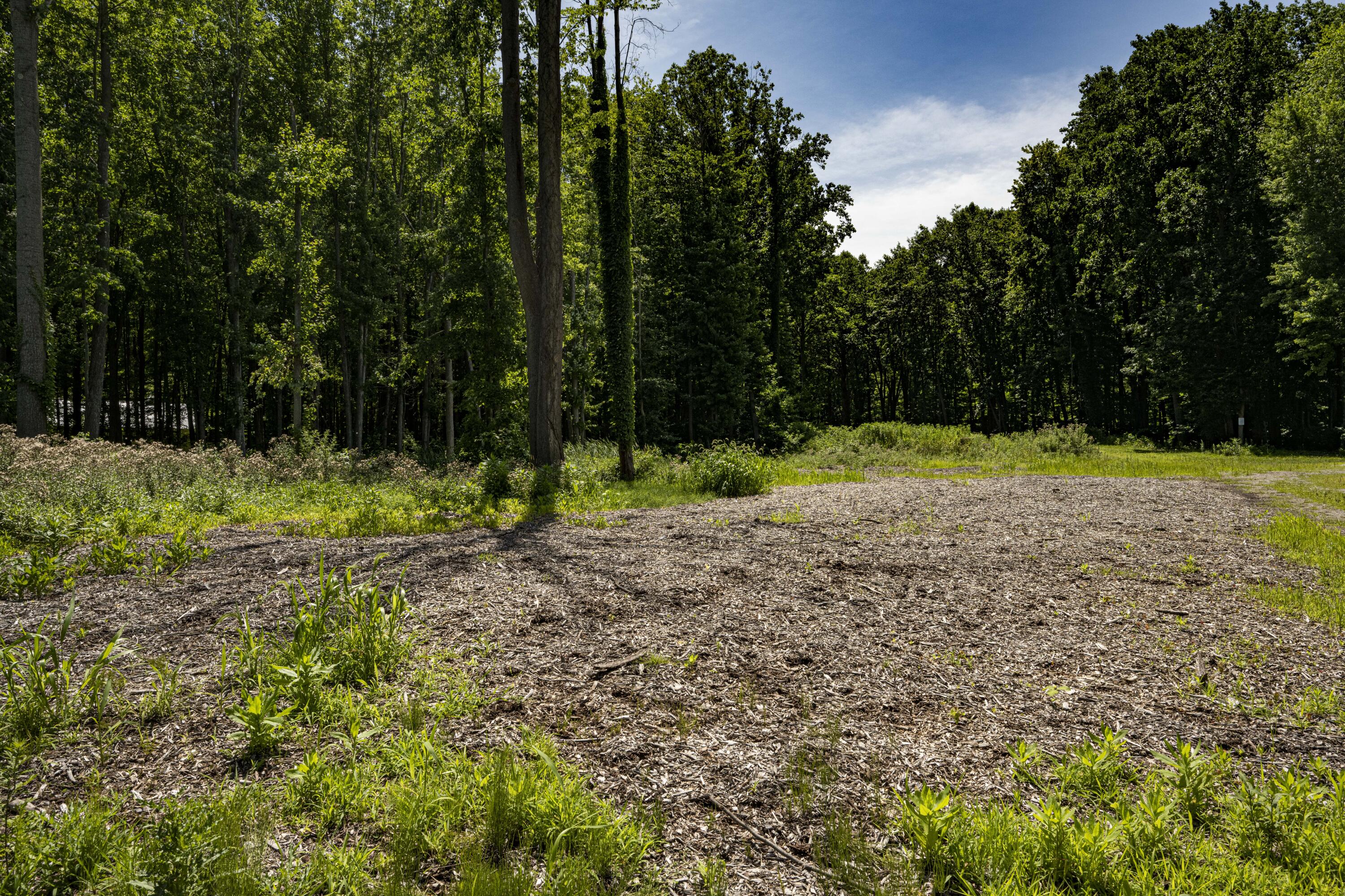 0 Youngren Road Three Oaks, MI 49128 - Photo 4 of 35 REN_9333