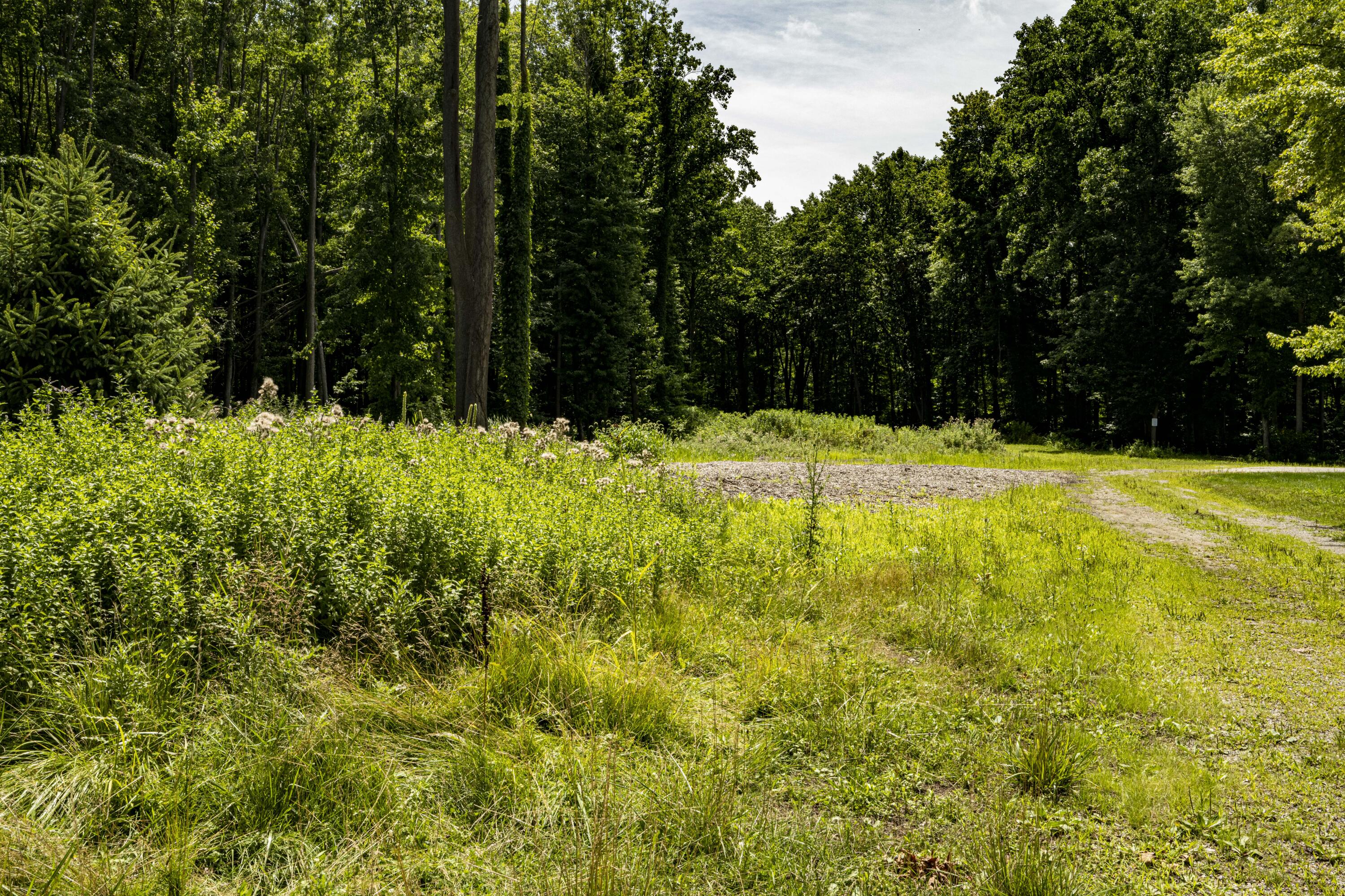 0 Youngren Road Three Oaks, MI 49128 - Photo 5 of 35 REN_9400