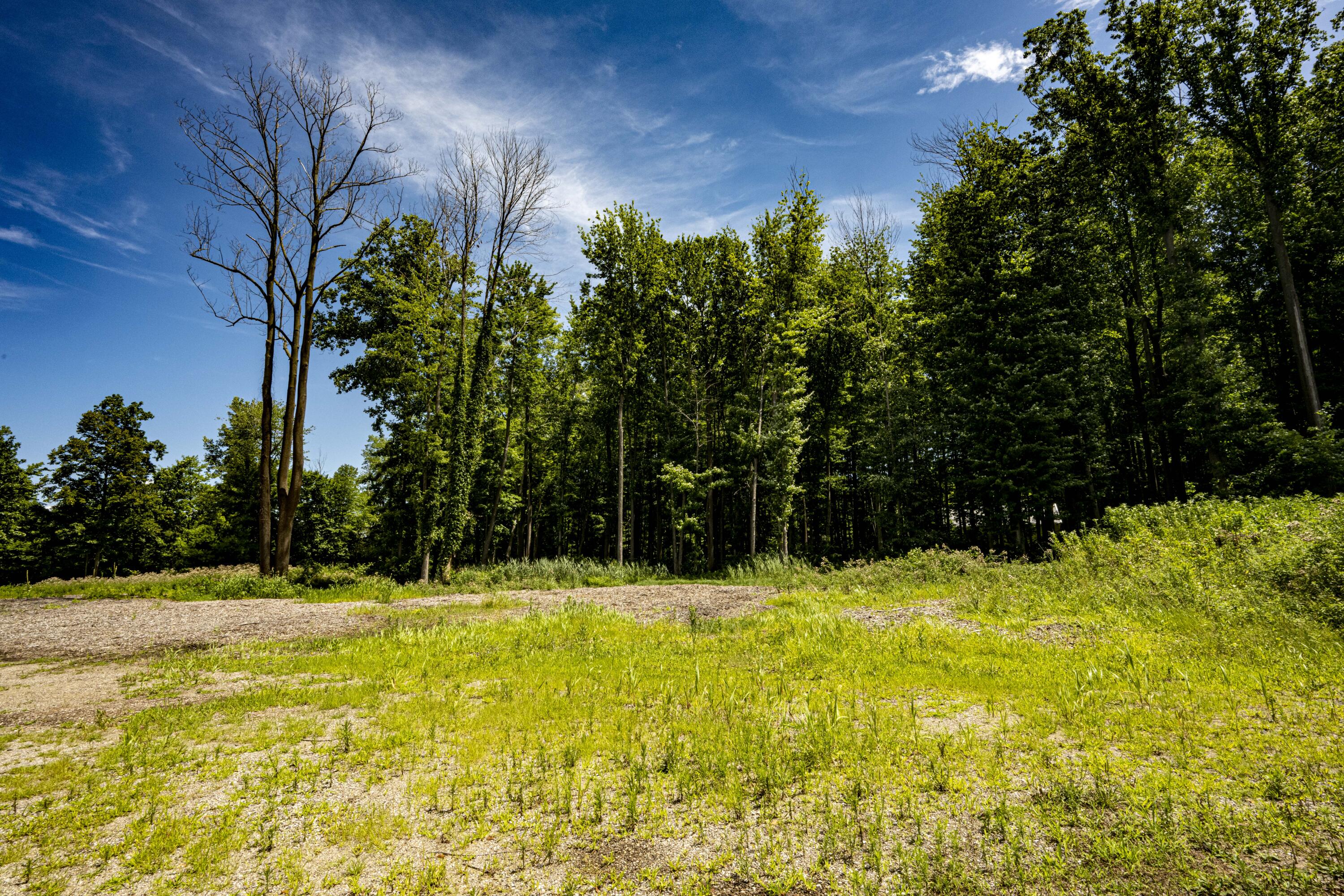 0 Youngren Road Three Oaks, MI 49128 - Photo 6 of 35 REN_9390