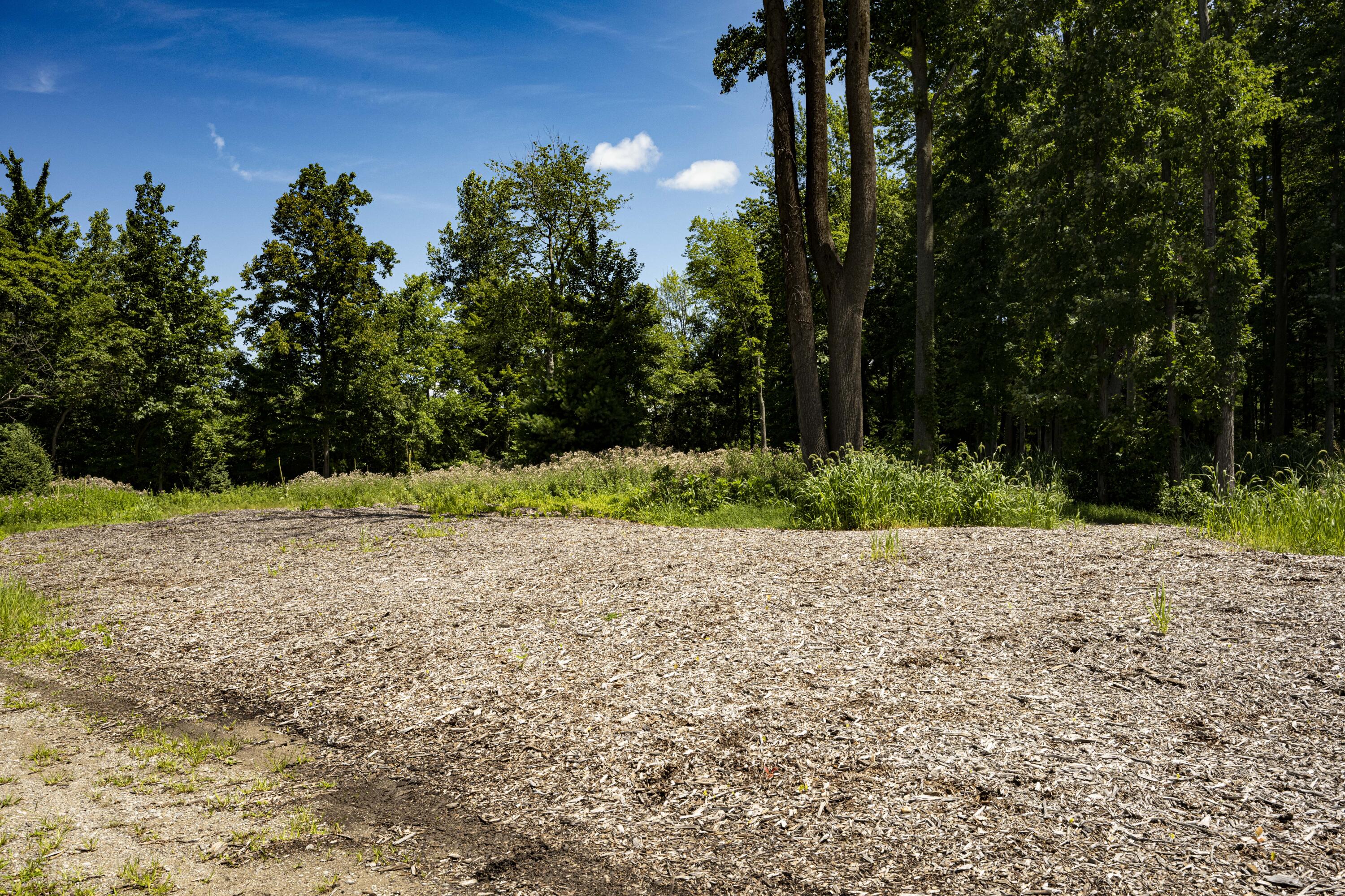 0 Youngren Road Three Oaks, MI 49128 - Photo 7 of 35 REN_9343