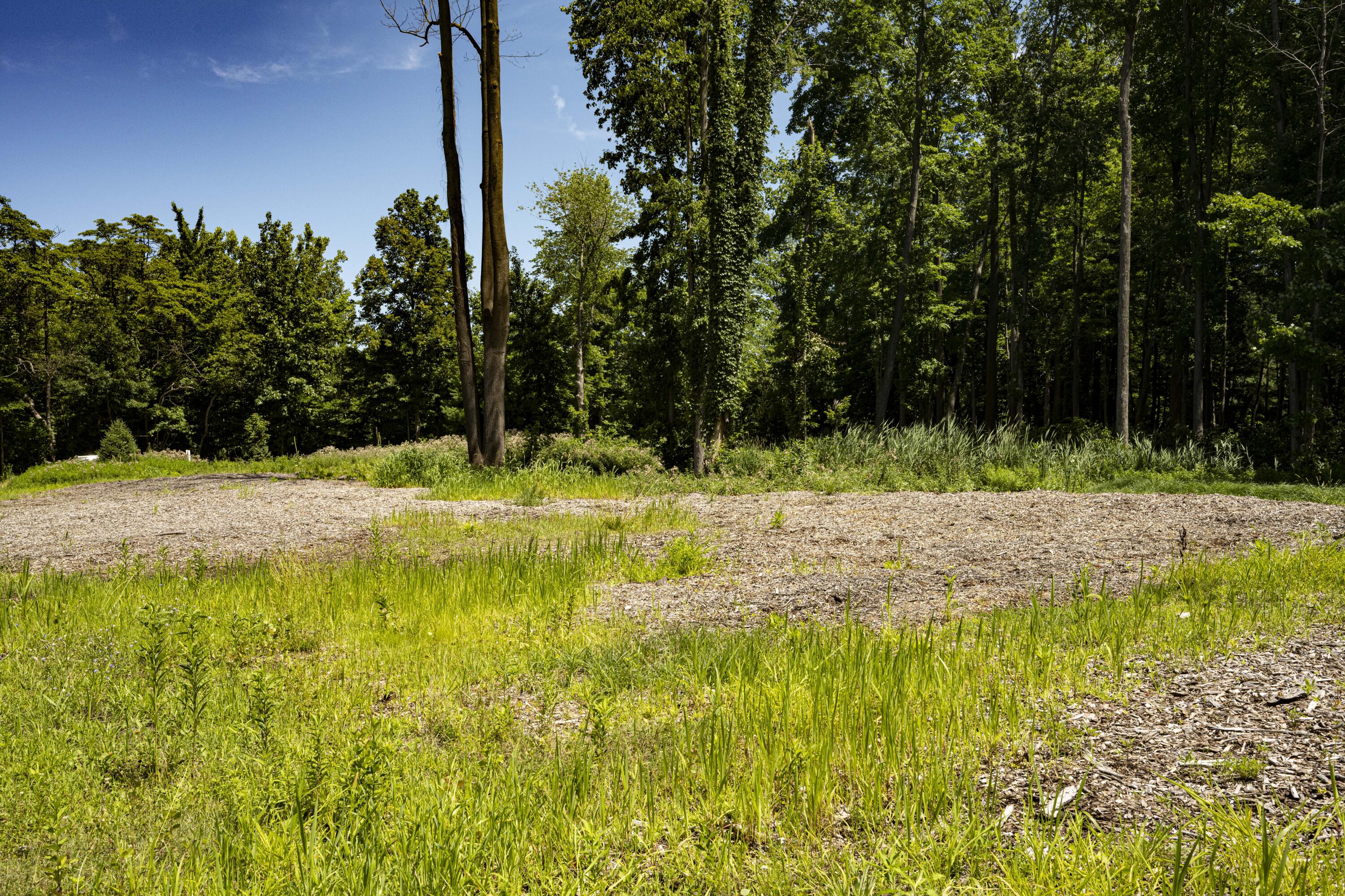 0 Youngren Road Three Oaks, MI 49128 - Photo 8 of 35 REN_9347