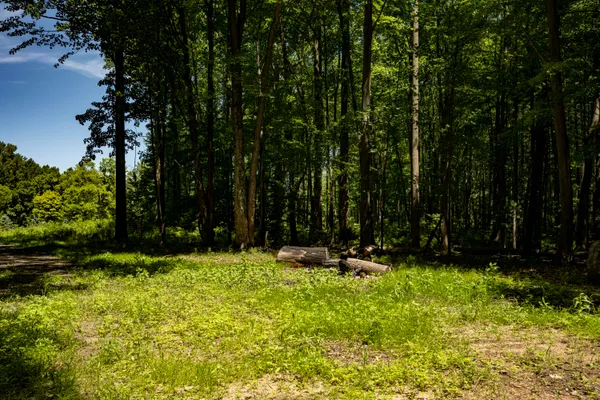 $499,000 | 0 Youngren Road, Three Oaks, MI 49128