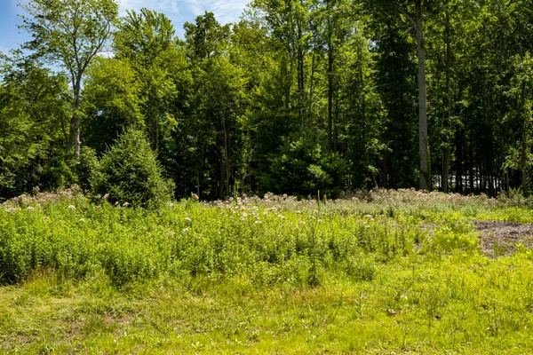 $499,000 | 0 Youngren Road, Three Oaks, MI 49128