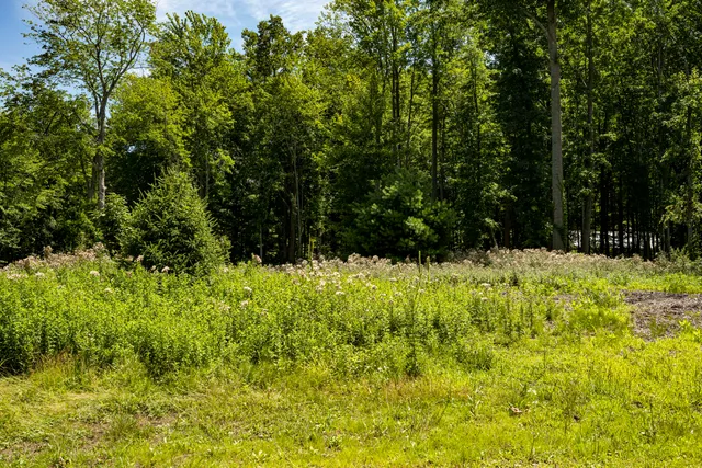 $499,000 | 0 Youngren Road, Three Oaks, MI 49128