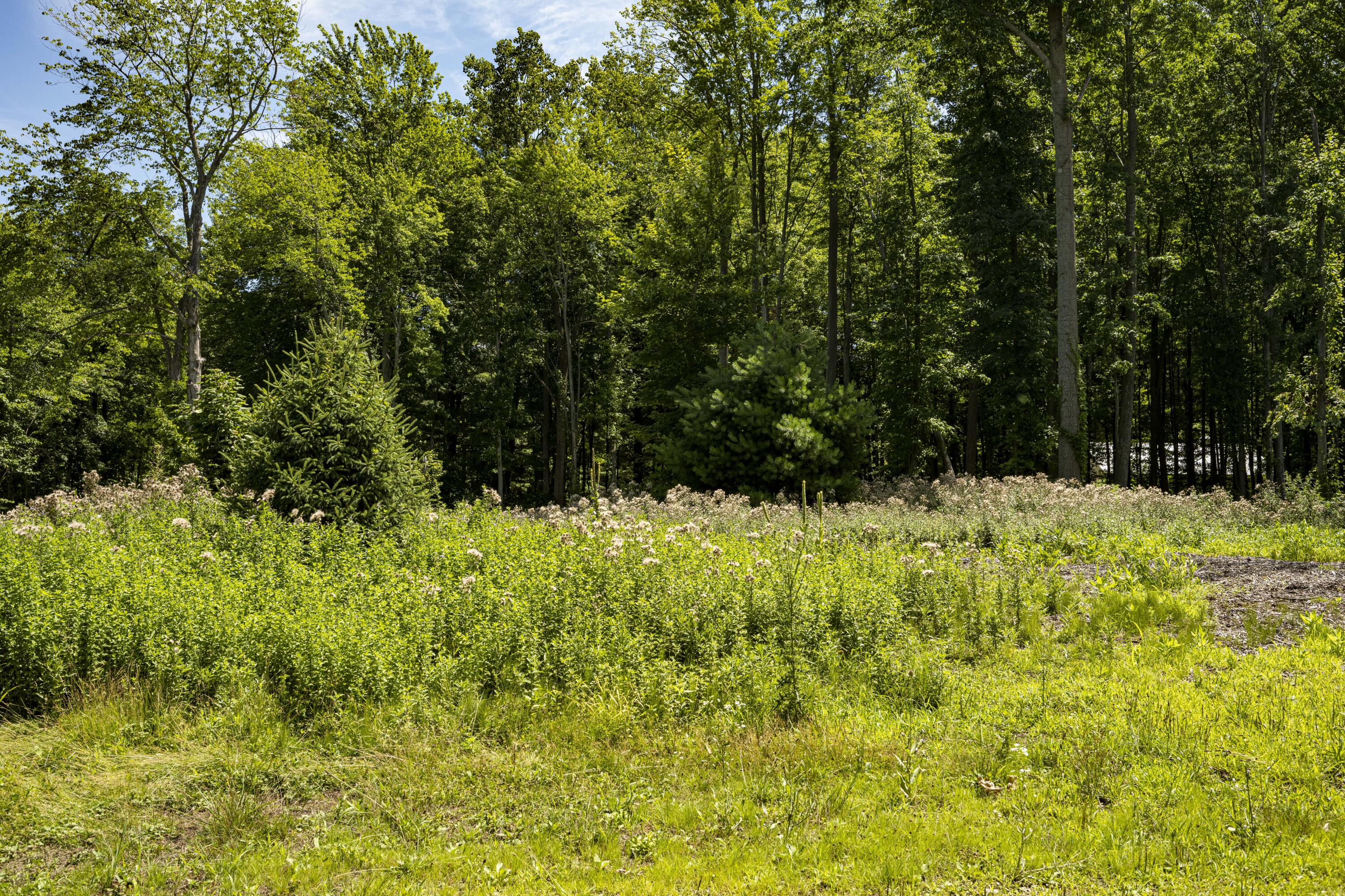 0 Youngren Road Three Oaks, MI 49128 - Photo 10 of 35 REN_9338