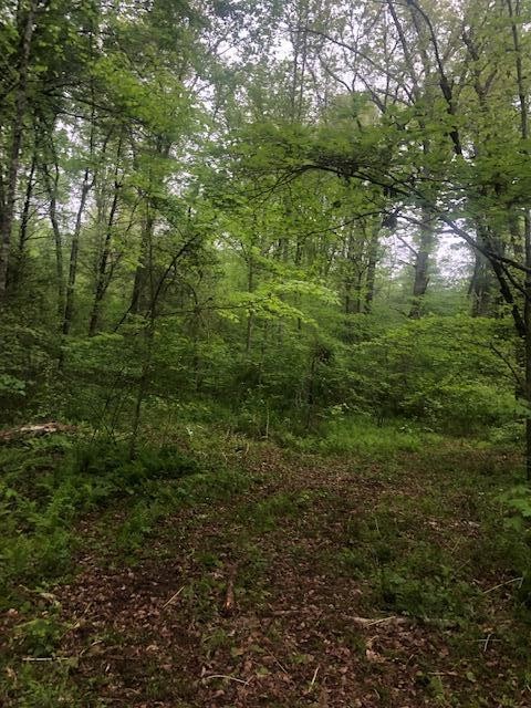 887 Swicegood Road Crossville, TN 38571 - Photo 17 of 19