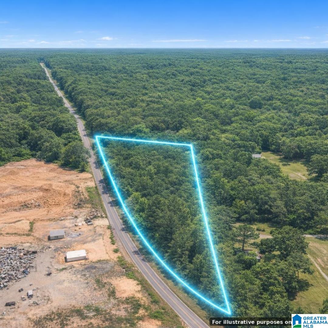 0 Jackson Trace Road Lincoln, AL 35096 - Photo 4 of 7