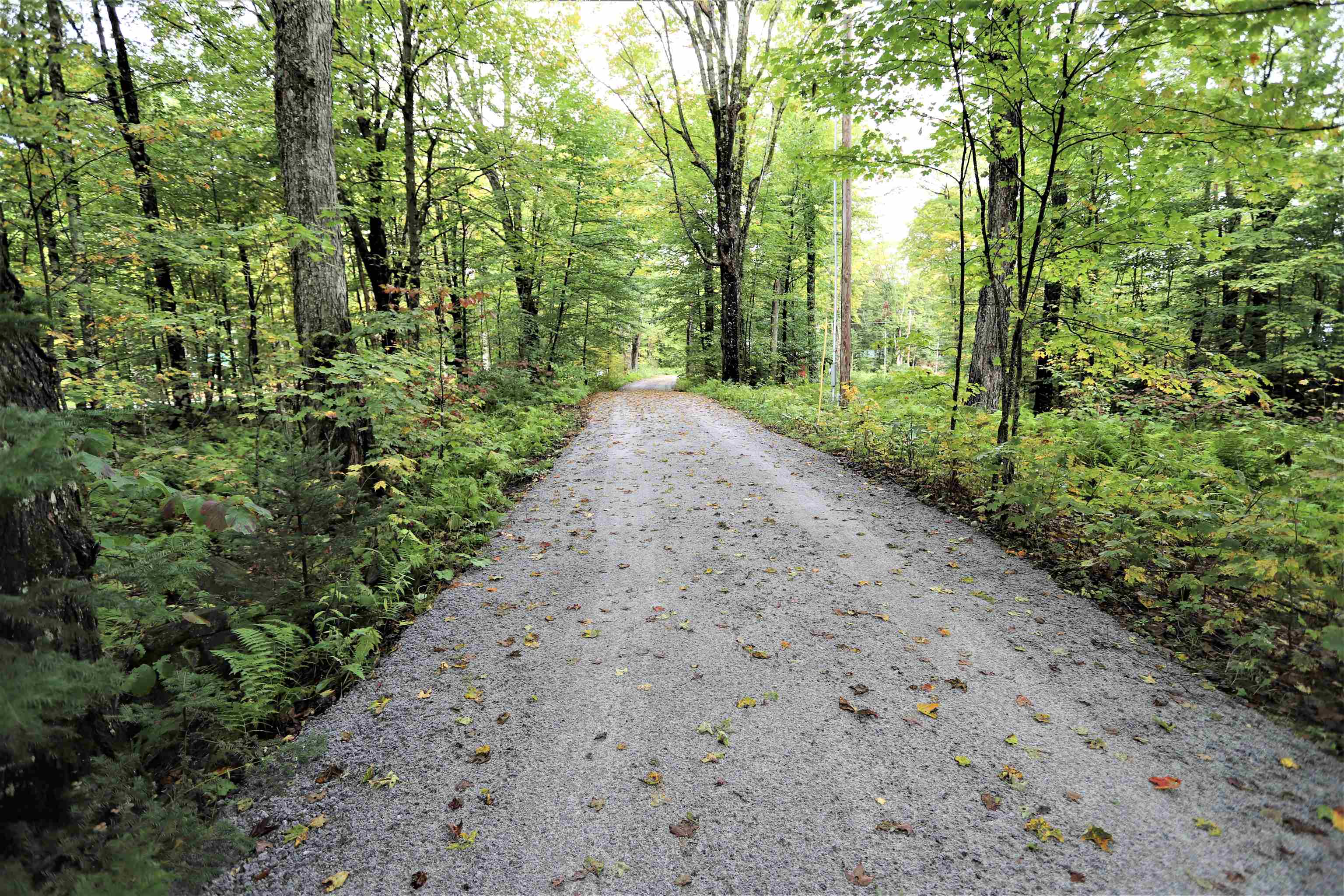 411 Maple Hill Road Holland, VT 05830 - Photo 31 of 40