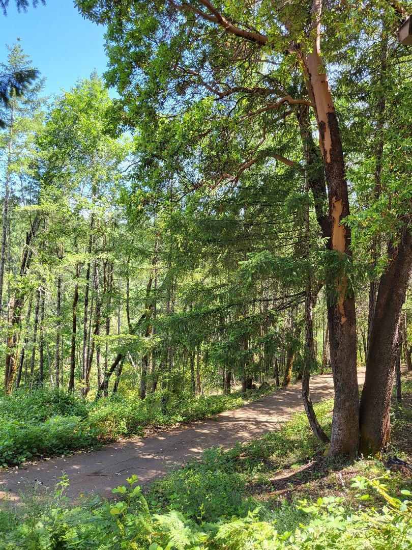 320 Limpy Creek Road Grants Pass, OR 97527 - Photo 16 of 18 Circle drive