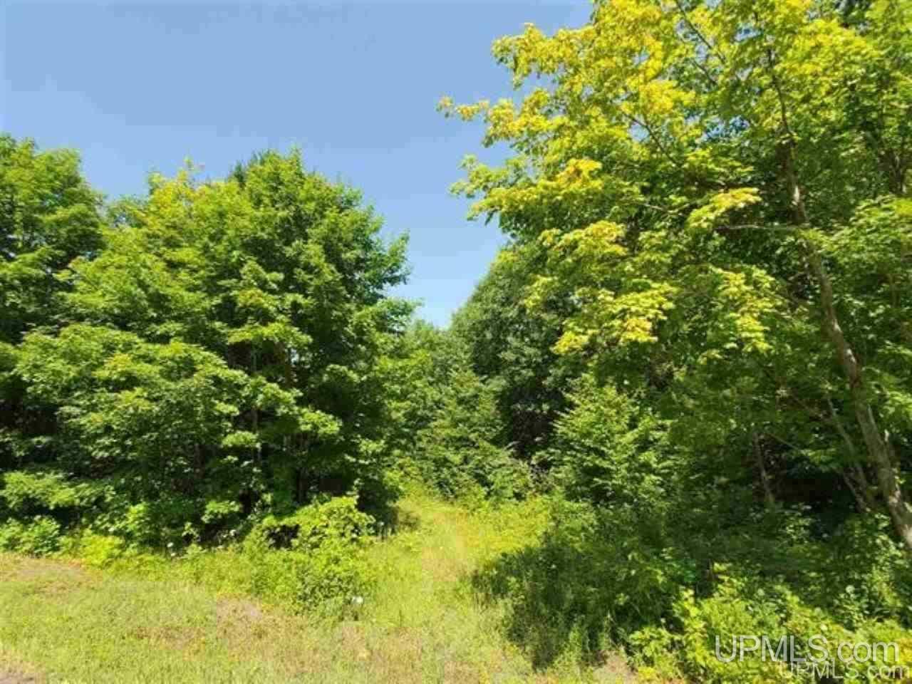 Tbd No 2-3 4 Obenhoff Road Atlantic Mine, MI 49905 - Photo 26 of 32
