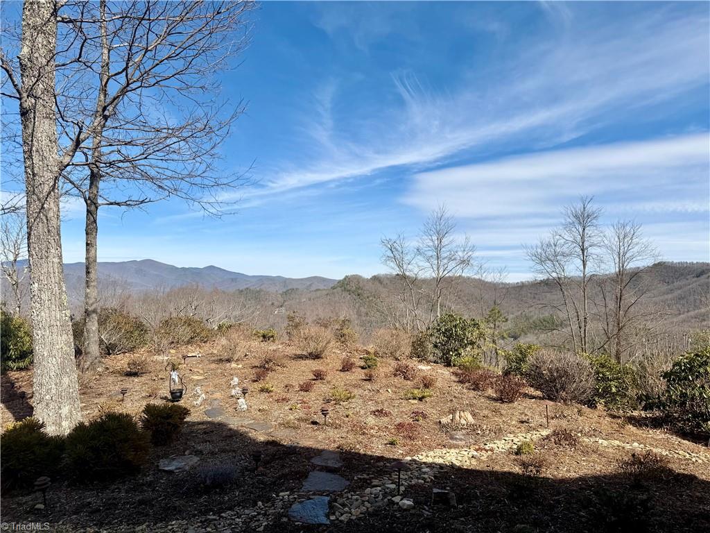 32 Crockett Ridge Road Black Mountain, NC 28711 - Photo 42 of 50 32 Crockett Ridge Rd Black Mountain NC 28711