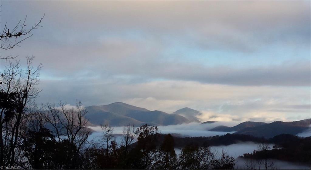 32 Crockett Ridge Road Black Mountain, NC 28711 - Photo 44 of 50 32 Crockett Ridge Rd Black Mountain NC 28711