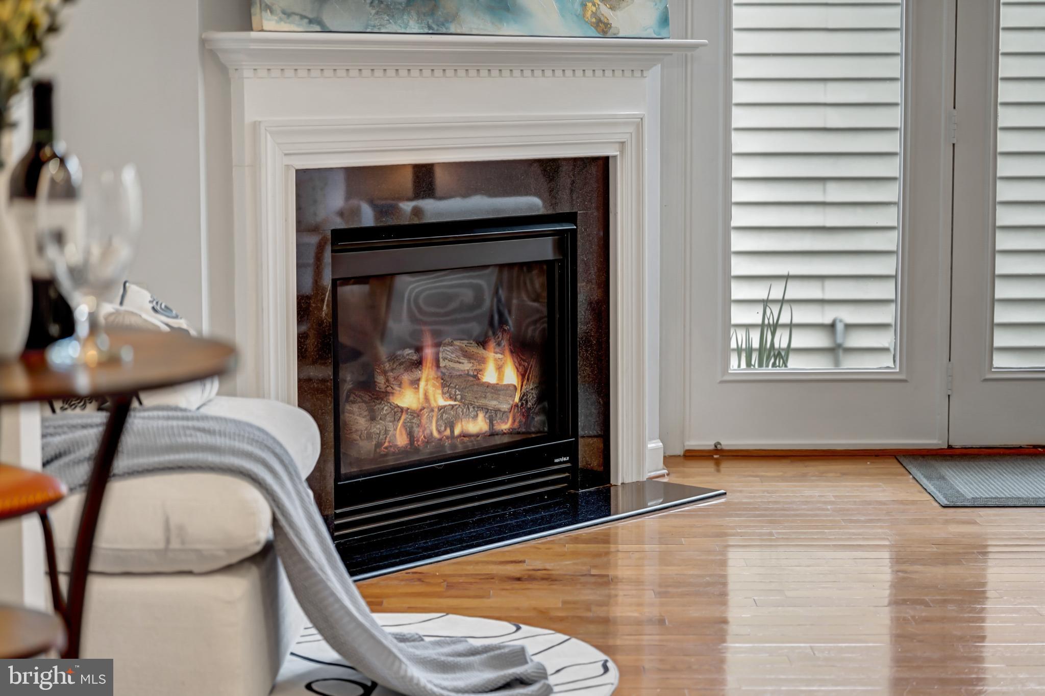 9231 Ribbon Falls Loop Bristow, VA 20136 - Photo 5 of 40 a living room with a fireplace