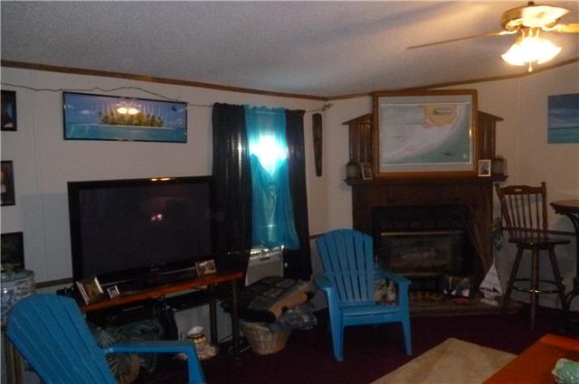 6908 Primm Springs Road Lyles, TN 37098 - Photo 13 of 19 Living Room with fireplace.