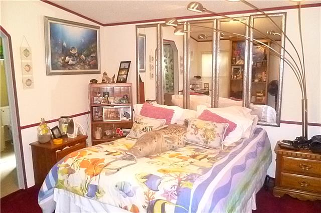 6908 Primm Springs Road Lyles, TN 37098 - Photo 14 of 19 Master bedroom