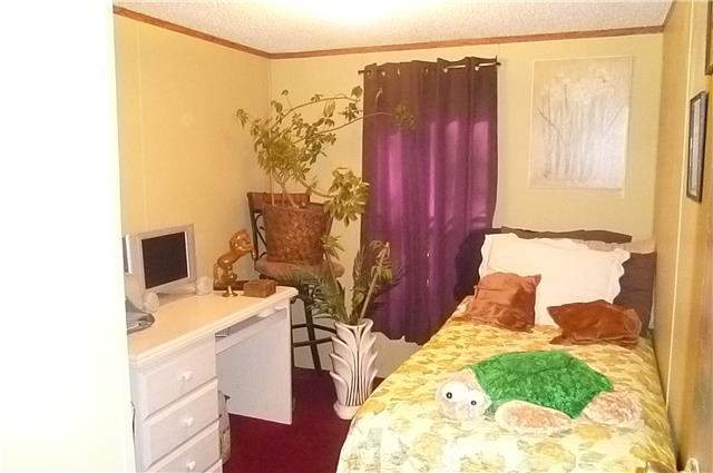 6908 Primm Springs Road Lyles, TN 37098 - Photo 16 of 19 Bedroom # 3